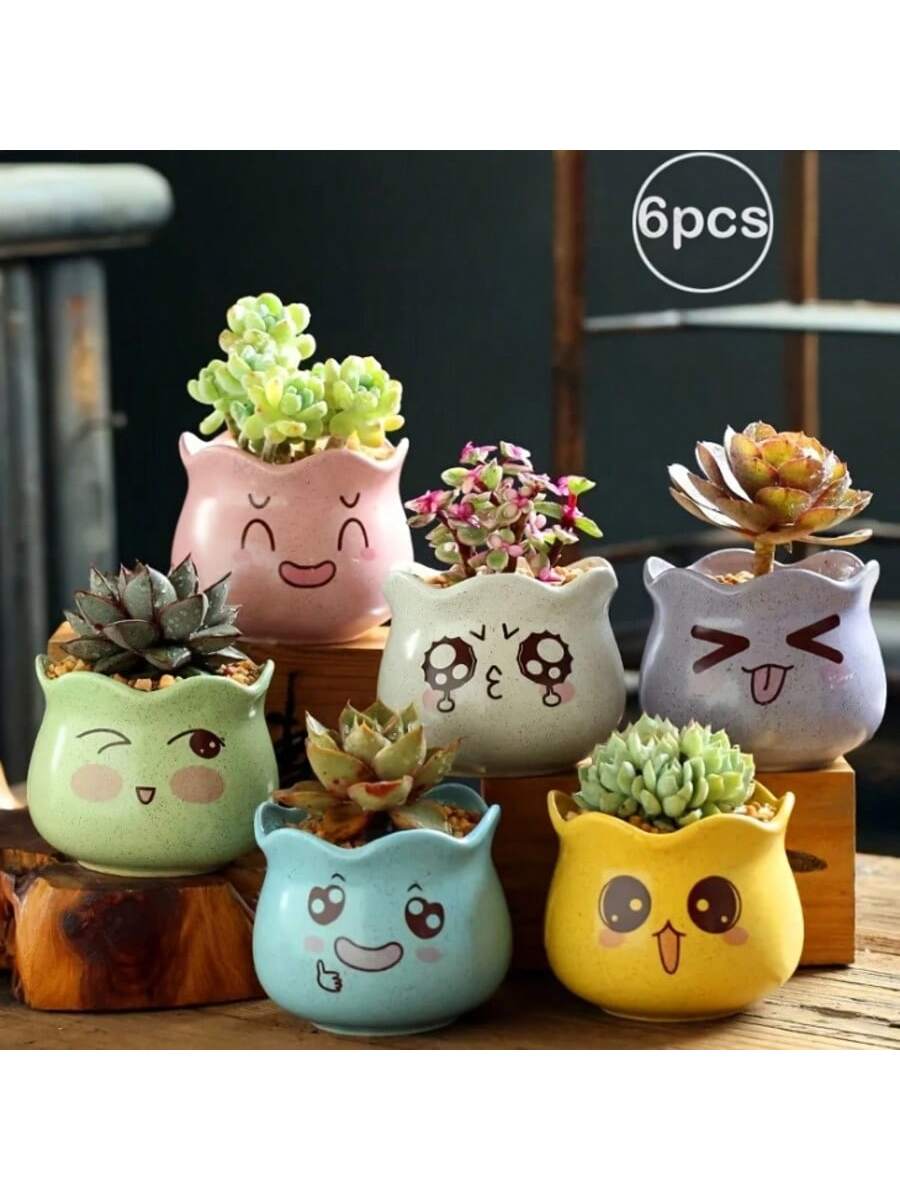 Echeveria Succulent - 6개/세트 만화 귀여운 세라믹 화분, 배수구