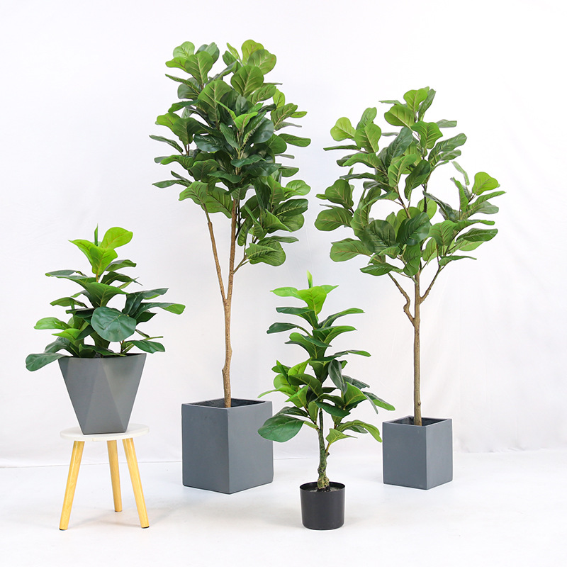 Ficus Lyrata Tree - 인조 플라스틱 화분에 심은 피들리프 피쿠스