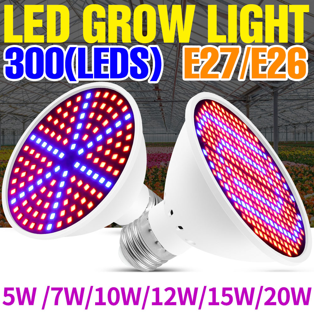 25W E27 풀 스펙트럼 LED 식물 생장용 조명,  - Echeveria Succulent 리뷰 및 가격