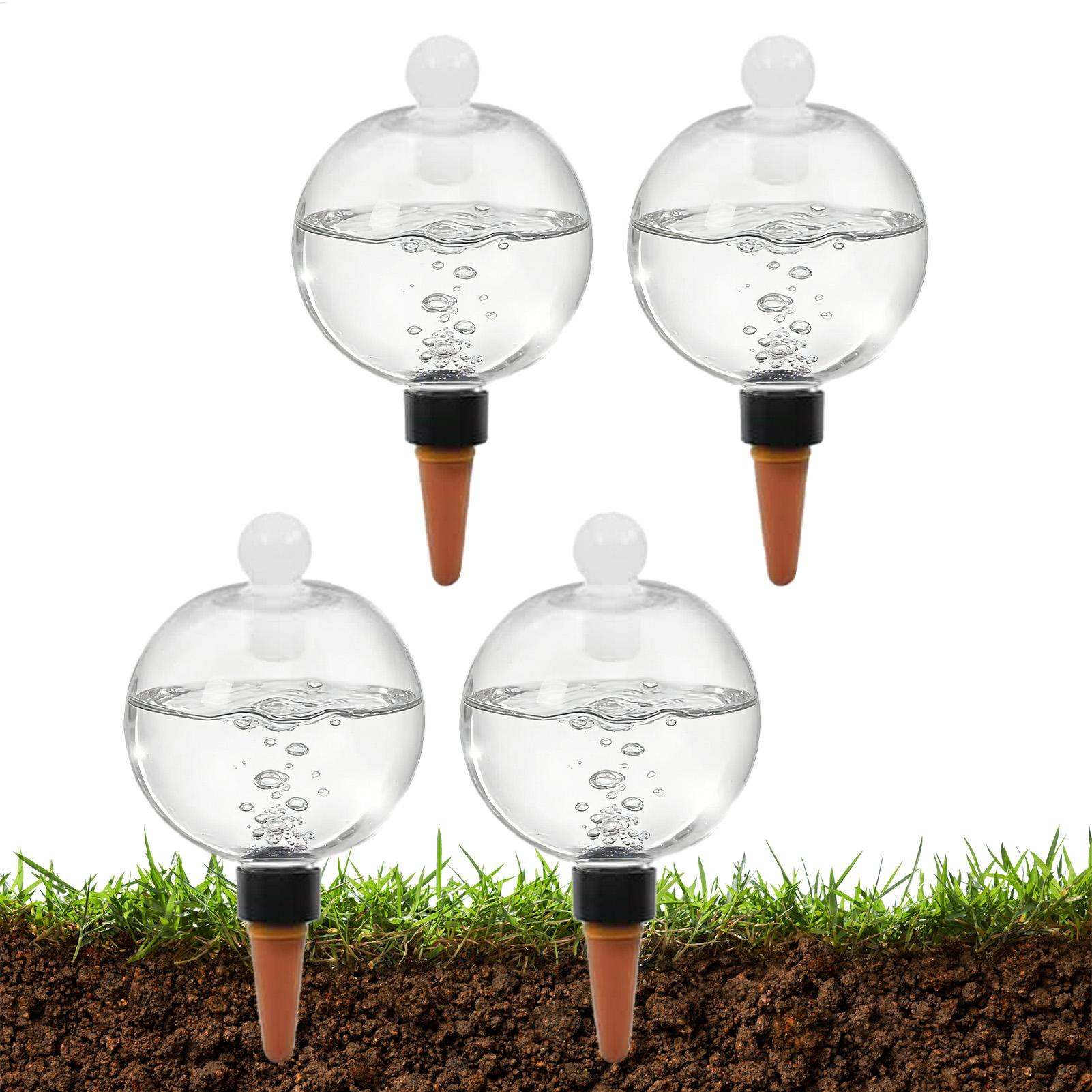 식물 급수용 전구 4개 500ml 투명 자동 급수 글로 - Echeveria Succulent 리뷰 및 가격