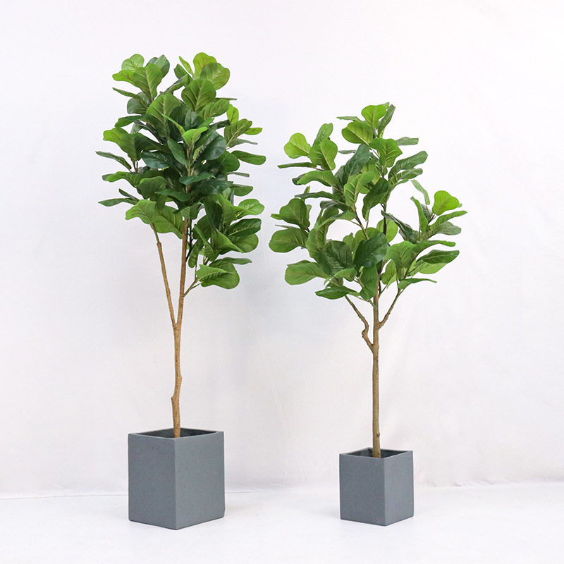 인조 플라스틱 화분에 심은 피들리프 피쿠스 (Ficus - Ficus Lyrata Tree 리뷰 및 가격