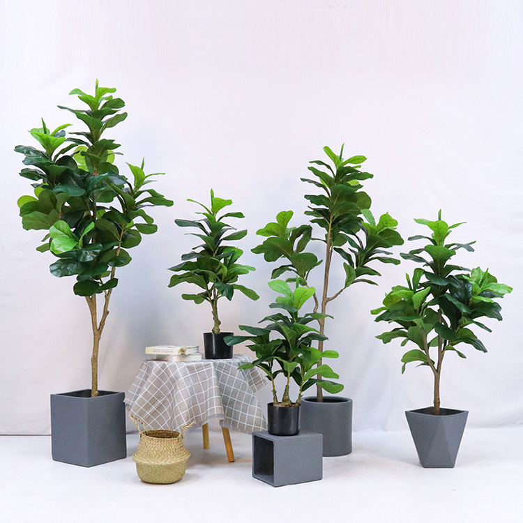 인조 플라스틱 화분에 심은 피들리프 피쿠스 (Ficus - Ficus Lyrata Tree 리뷰 및 가격