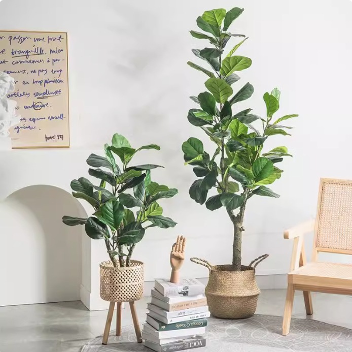 인조 플라스틱 화분에 심은 피들리프 피쿠스 (Ficus - Ficus Lyrata Tree 리뷰 및 가격