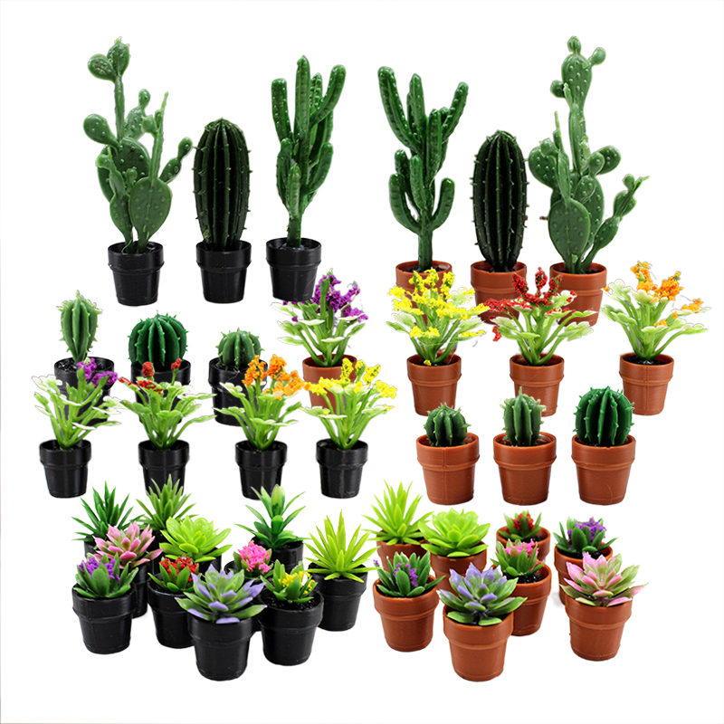 미니어처 플라스틱 화분에 심은 다육 식물 및 선인장 모 - Echeveria Succulent 리뷰 및 가격