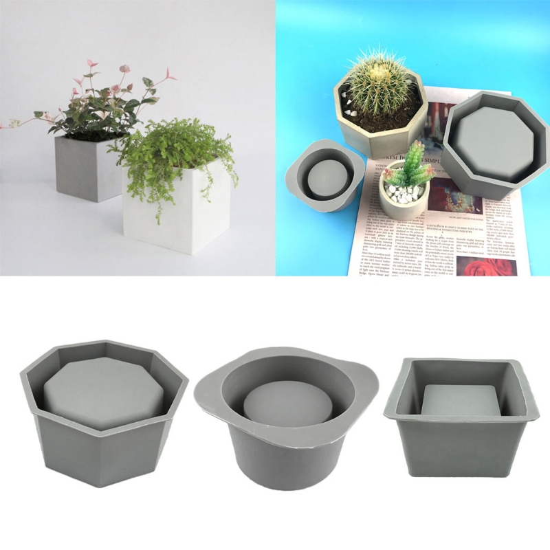 수제 다육 화분 실리콘 몰드 콘크리트 식물 화분, 에폭 - Echeveria Succulent 리뷰 및 가격