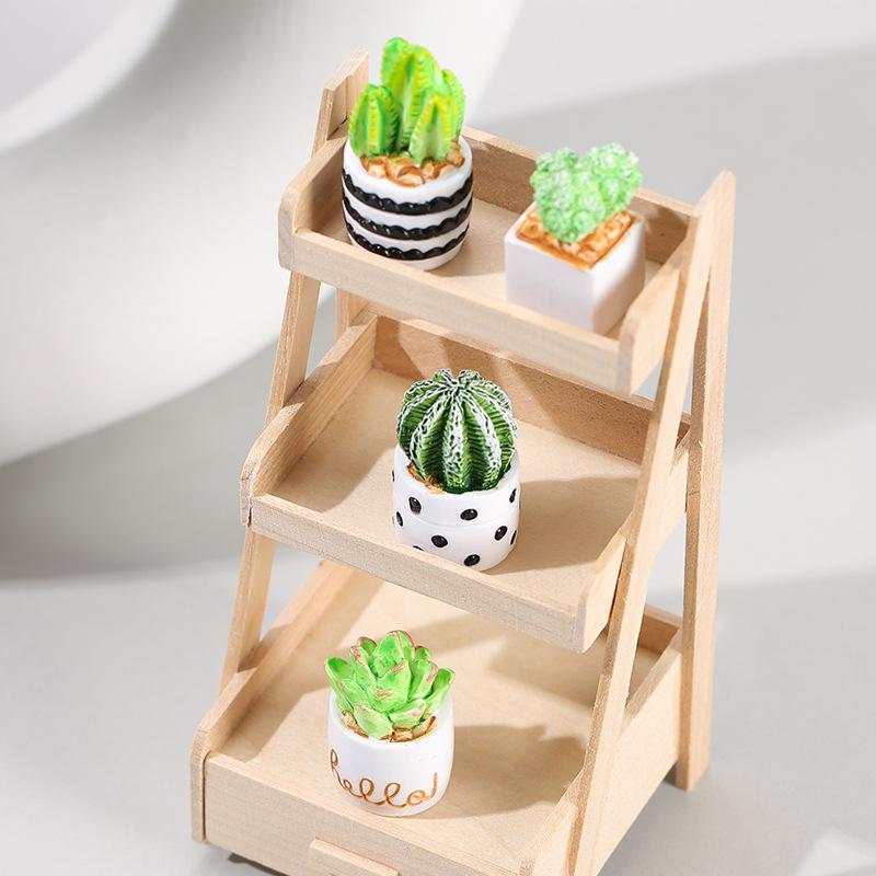선인장 다육 식물 화분 4종 세트, 요정 정원 액세서리 - Echeveria Succulent 리뷰 및 가격